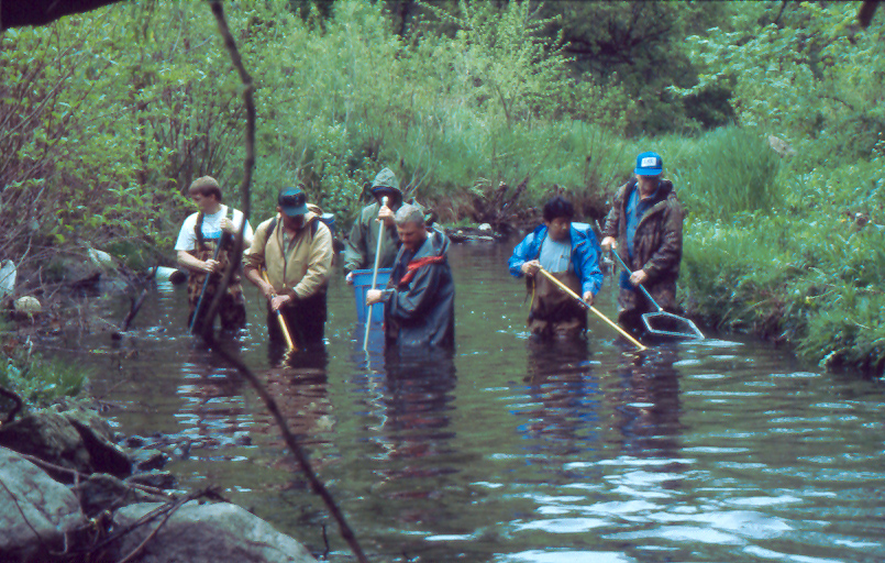 waukegan fish survey